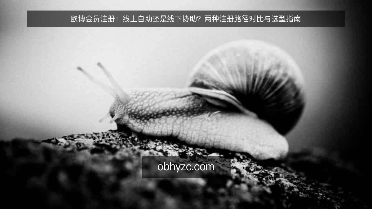 欧博会员注册：线上自助还是线下协助？两种注册路径对比与选型指南