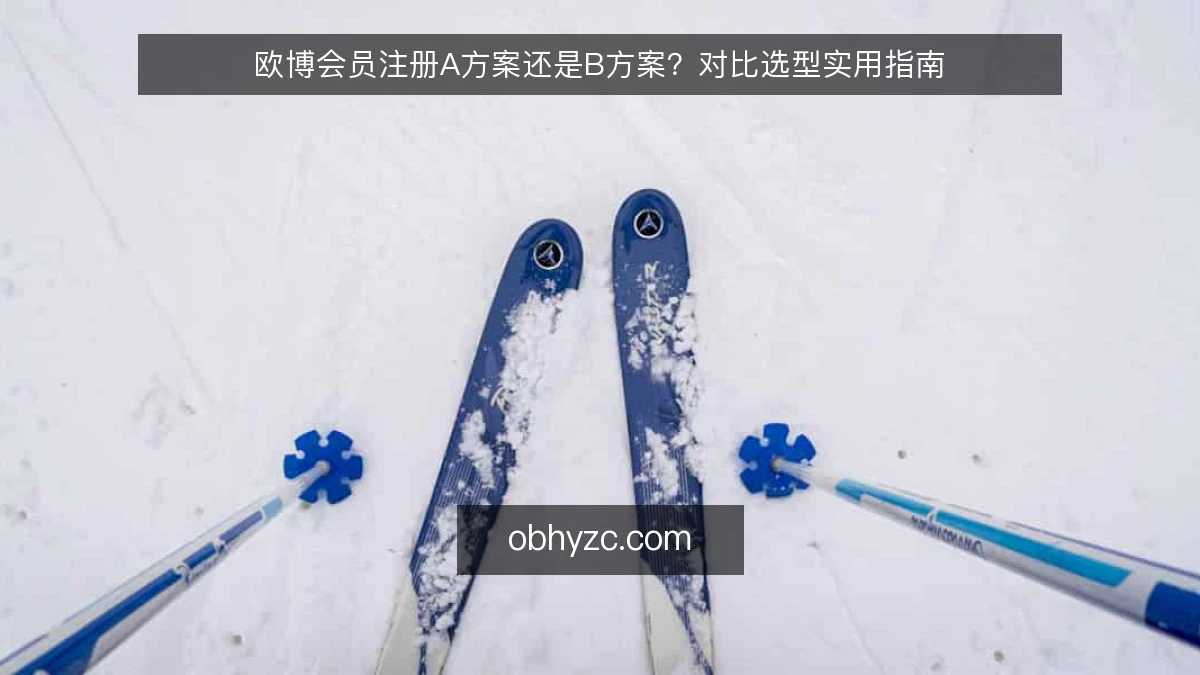 欧博会员注册A方案还是B方案?对比选型实用指南