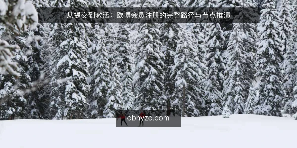 从提交到激活：欧博会员注册的完整路径与节点推演 — 场景设定：一次需要赶在活动前完成的注册 配图