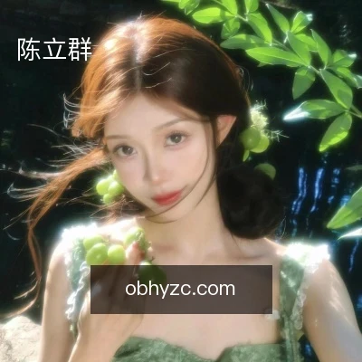 陈立群